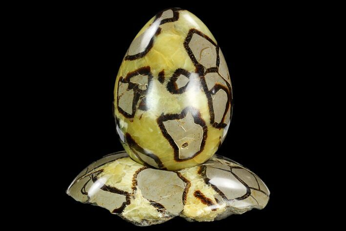 Polished Septarian Egg with Stand - Madagascar #120257